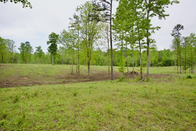 40A Barker Cove Loop, Palmer, TN 37365