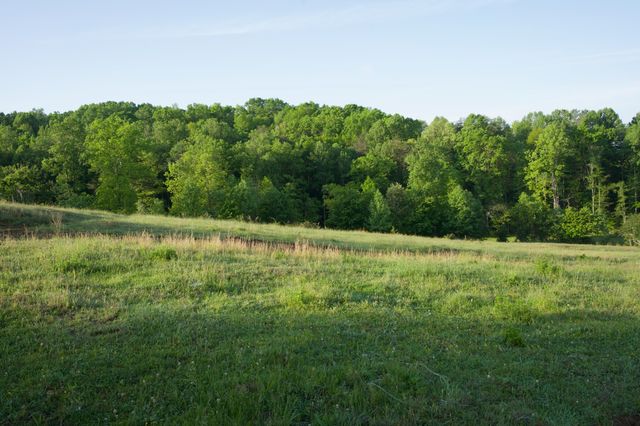 40A Barker Cove Loop, Palmer, TN 37365