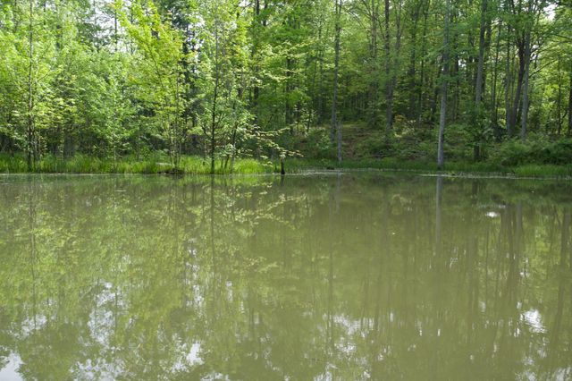 40A Barker Cove Loop, Palmer, TN 37365