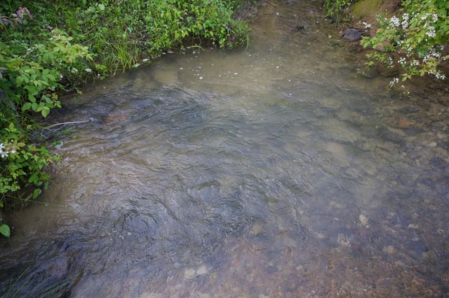 40A Barker Cove Loop, Palmer, TN 37365