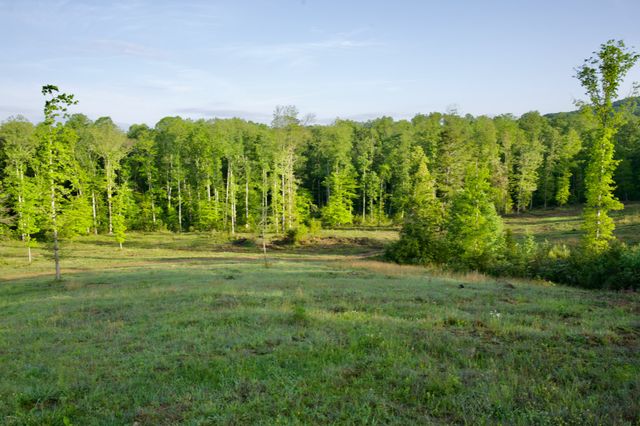 40A Barker Cove Loop, Palmer, TN 37365