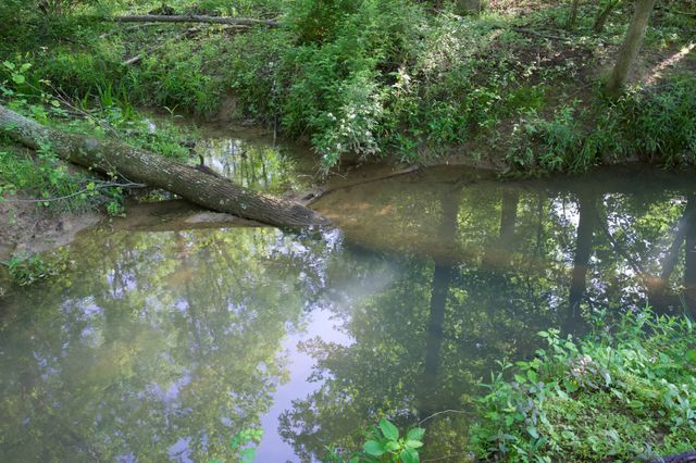 40A Barker Cove Loop, Palmer, TN 37365