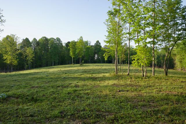 40A Barker Cove Loop, Palmer, TN 37365