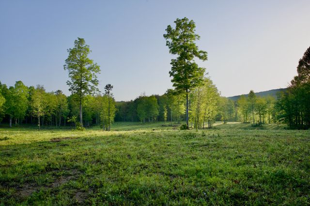 40A Barker Cove Loop, Palmer, TN 37365