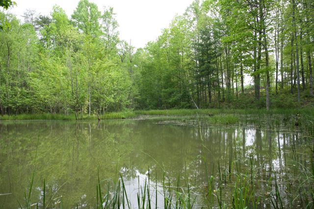 40A Barker Cove Loop, Palmer, TN 37365