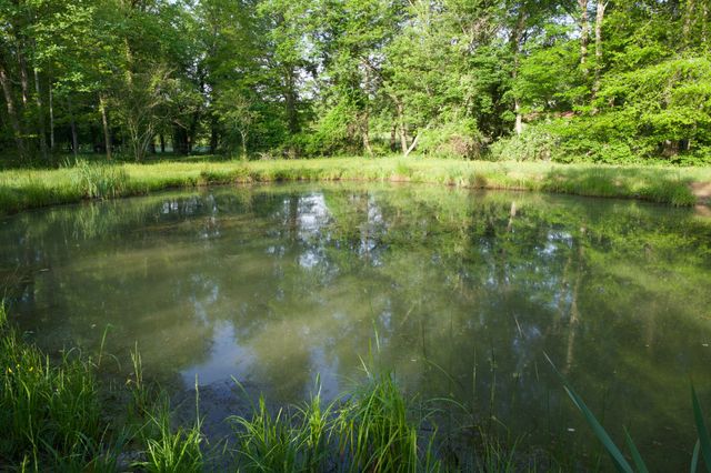 40A Barker Cove Loop, Palmer, TN 37365