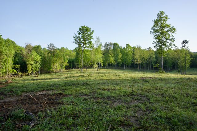 40A Barker Cove Loop, Palmer, TN 37365