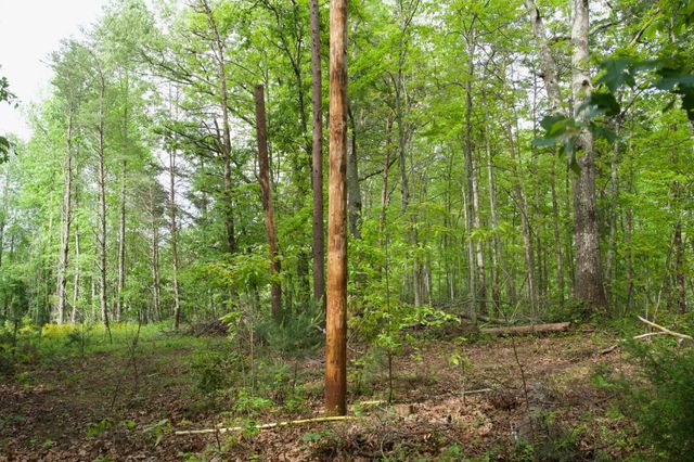 40A Barker Cove Loop, Palmer, TN 37365