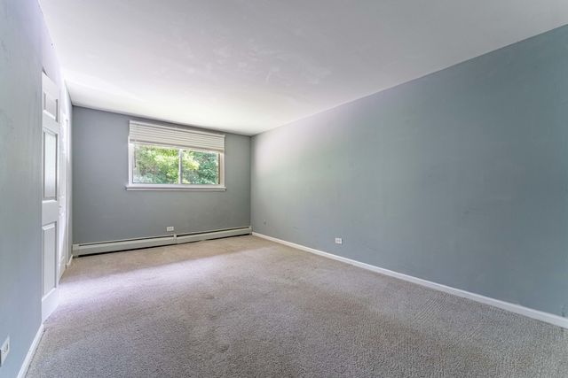 200 Willow Lane C-219, Willow Springs, IL 60480