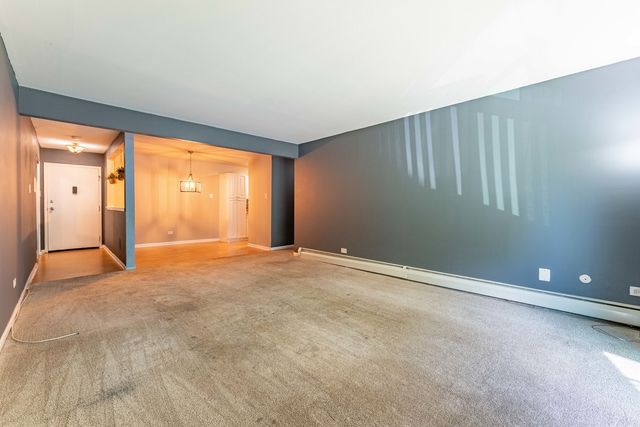 200 Willow Lane C-219, Willow Springs, IL 60480