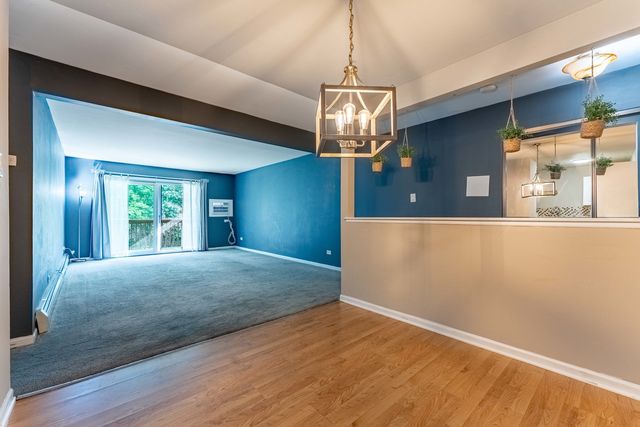200 Willow Lane C-219, Willow Springs, IL 60480