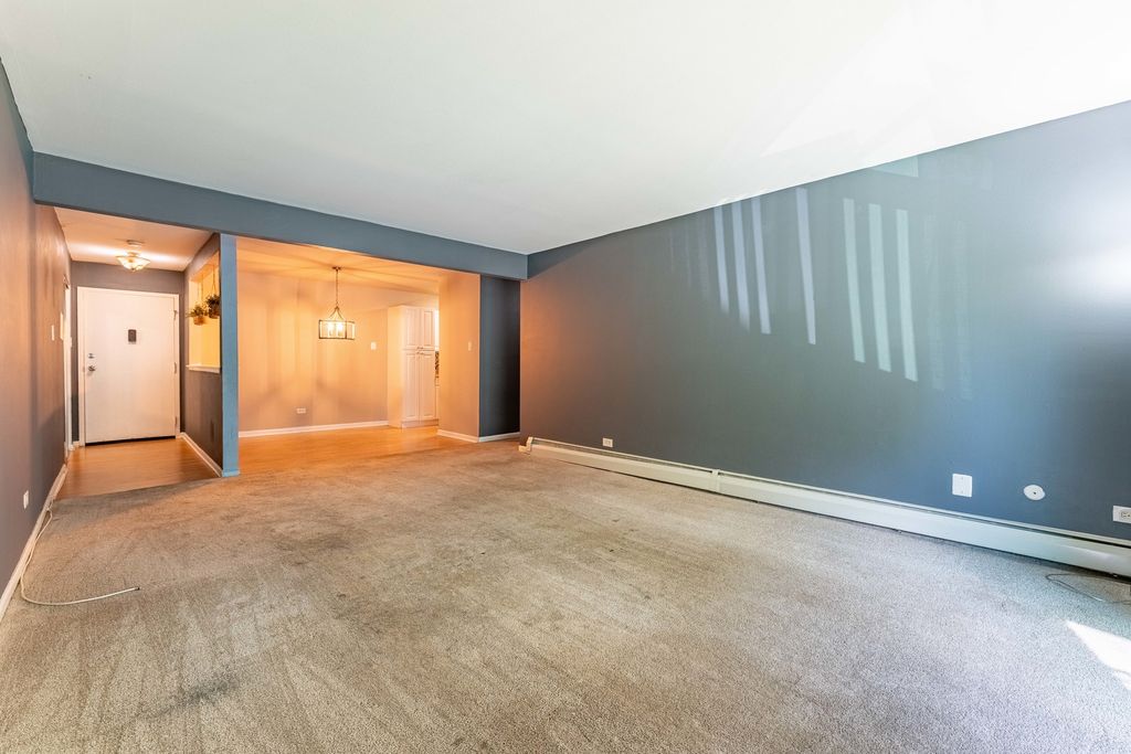 200 Willow Lane C-219, Willow Springs, IL 60480 — photo 5