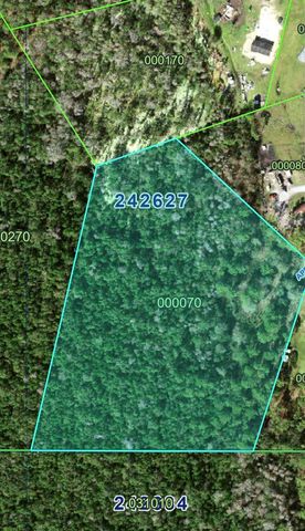 2904 APPALACHIAN TRAIL, Polk City, FL 33868