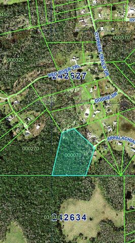 2904 APPALACHIAN TRAIL, Polk City, FL 33868