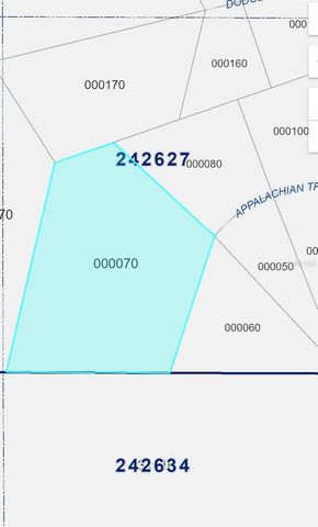2904 APPALACHIAN TRAIL, Polk City, FL 33868