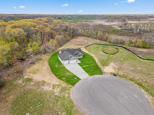 21936 Willys Street NE, Cedar, MN 55011