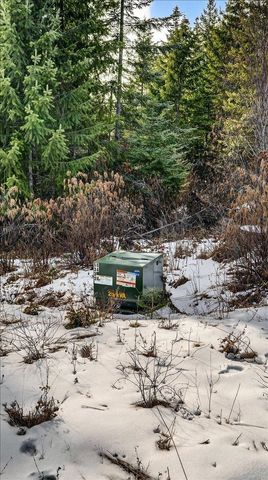 4467 F Williamson Rd, Clayton, WA 99110