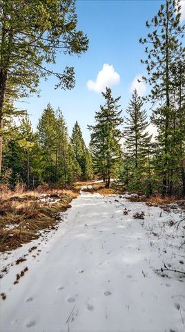 4467 F Williamson Rd, Clayton, WA 99110