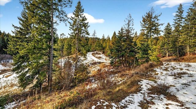 4467 F Williamson Rd, Clayton, WA 99110