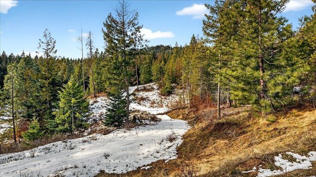 4467 F Williamson Rd, Clayton, WA 99110