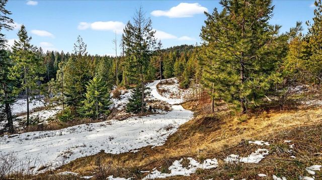 4467 F Williamson Rd, Clayton, WA 99110