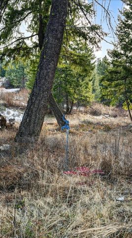 4467 F Williamson Rd, Clayton, WA 99110