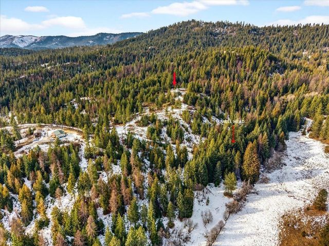 4467 F Williamson Rd, Clayton, WA 99110