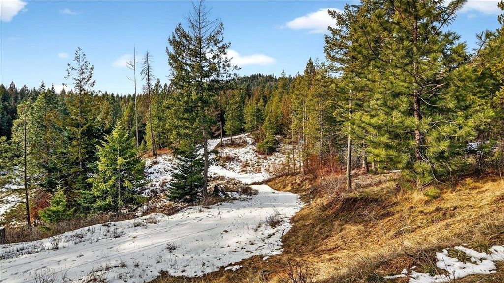 4467 F Williamson Rd, Clayton, WA 99110