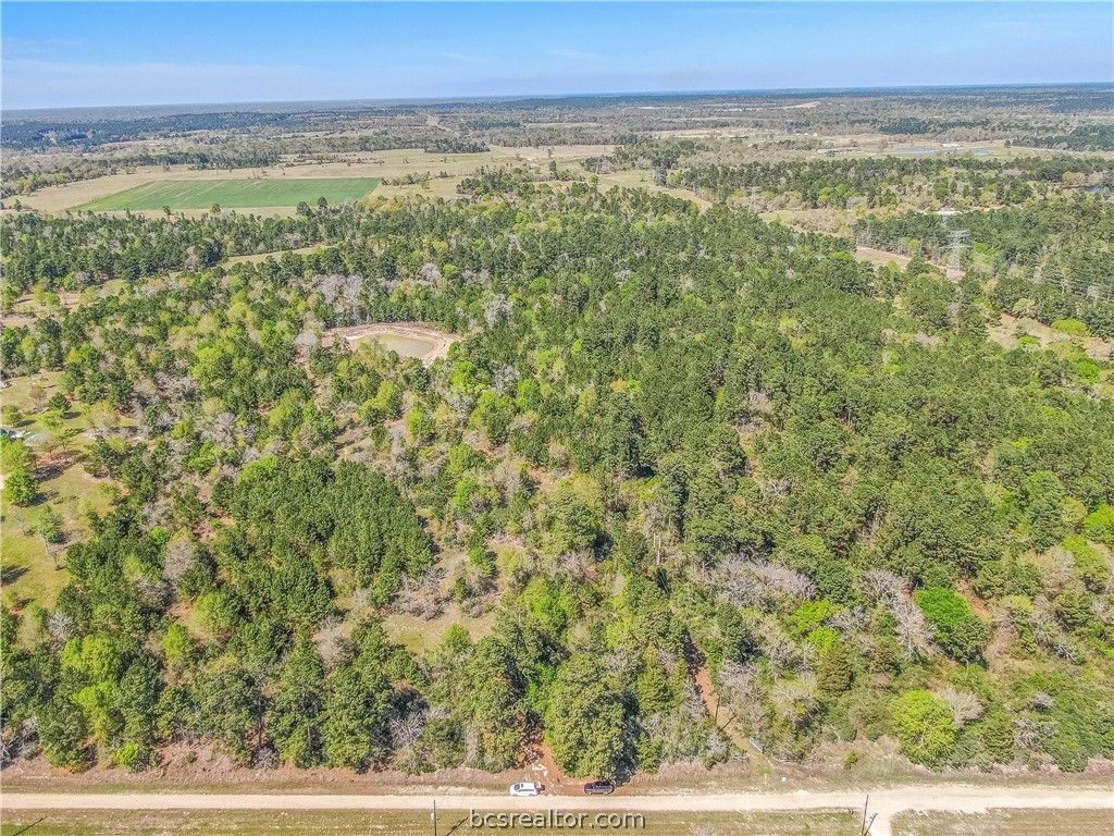 3656 Luthe Road, Bedias, TX 77831