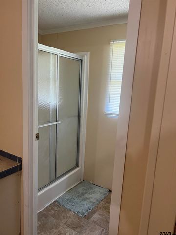 12233 CR 2128, Whitehouse, TX 75791