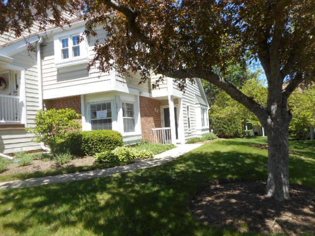 1017 Brentwood Circle, Buffalo Grove, IL 60089