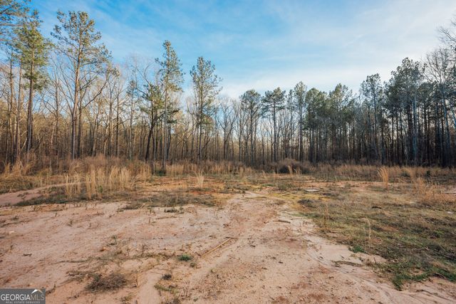 28.61 ACRES Sandy Creek Road, Madison, GA 30650