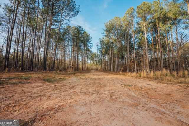 28.61 ACRES Sandy Creek Road, Madison, GA 30650