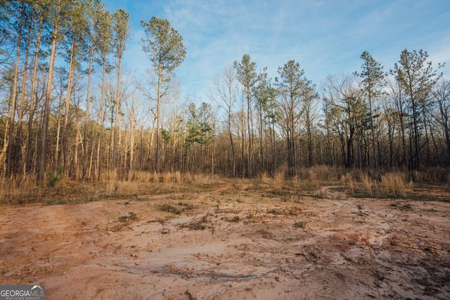 28.61 ACRES Sandy Creek Road, Madison, GA 30650