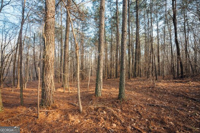 28.61 ACRES Sandy Creek Road, Madison, GA 30650