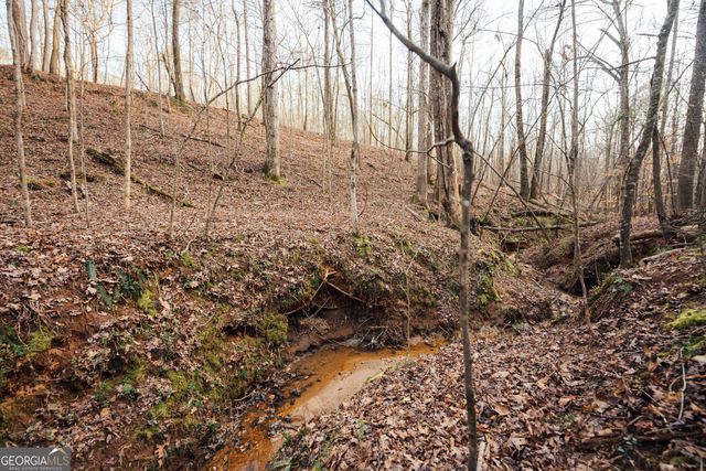 28.61 ACRES Sandy Creek Road, Madison, GA 30650