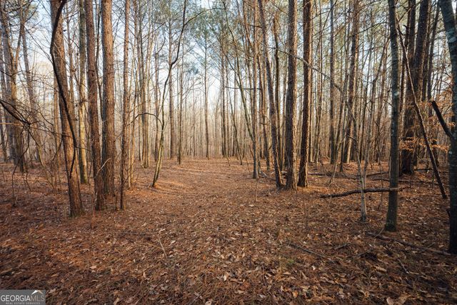 28.61 ACRES Sandy Creek Road, Madison, GA 30650
