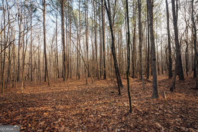 28.61 ACRES Sandy Creek Road, Madison, GA 30650