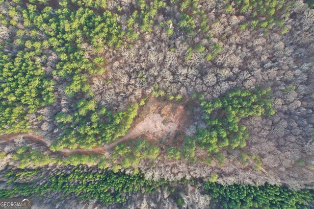 28.61 ACRES Sandy Creek Road, Madison, GA 30650