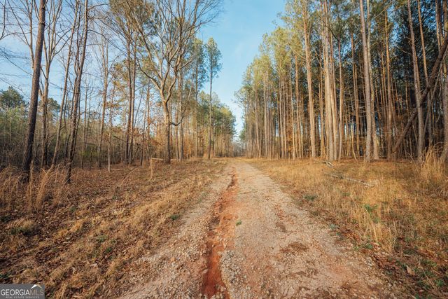 28.61 ACRES Sandy Creek Road, Madison, GA 30650