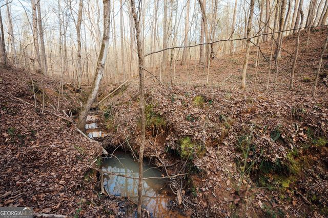 28.61 ACRES Sandy Creek Road, Madison, GA 30650