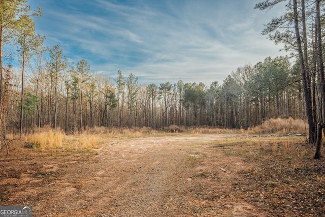 28.61 ACRES Sandy Creek Road, Madison, GA 30650