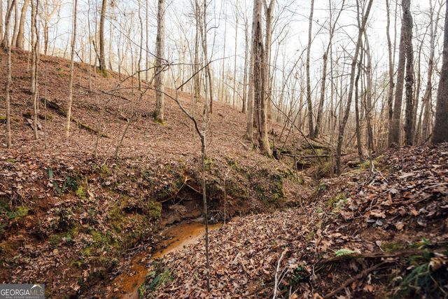 28.61 ACRES Sandy Creek Road, Madison, GA 30650
