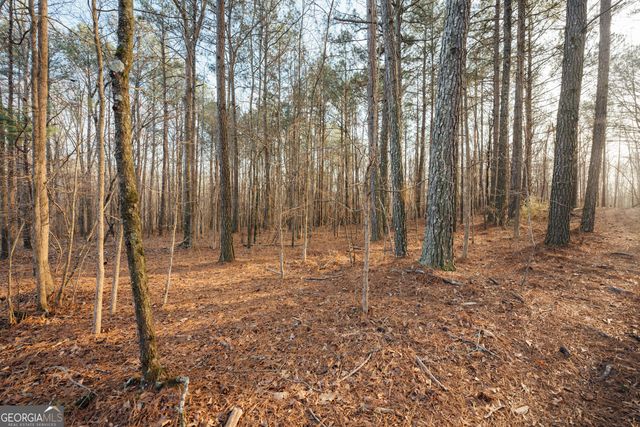 28.61 ACRES Sandy Creek Road, Madison, GA 30650