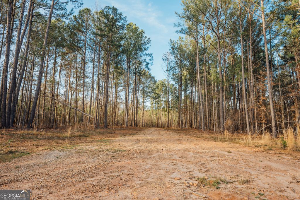 28.61 ACRES Sandy Creek Road, Madison, GA 30650