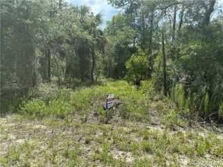 xx 125th Court, Dunnellon, FL 34431