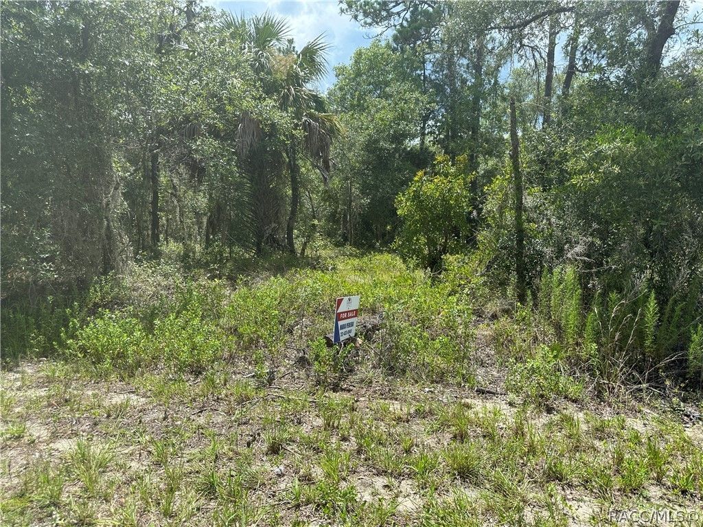 xx 125th Court, Dunnellon, FL 34431