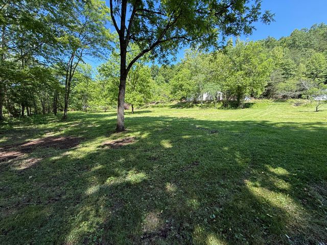 1233 Dog Trot Road, Frenchburg, KY 40322