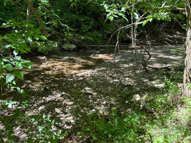 1233 Dog Trot Road, Frenchburg, KY 40322