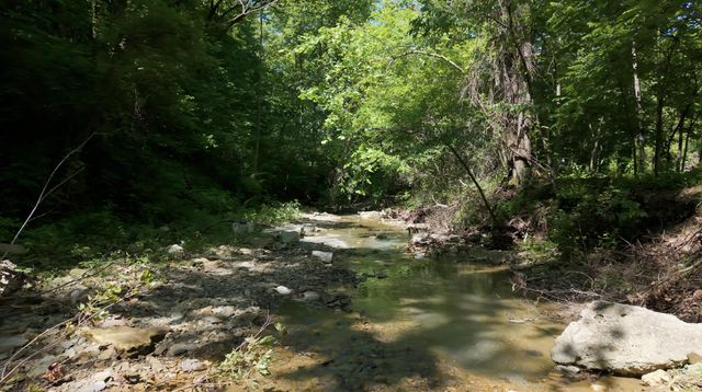1233 Dog Trot Road, Frenchburg, KY 40322